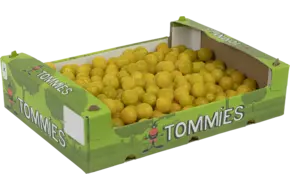 Snacktomaat geel
